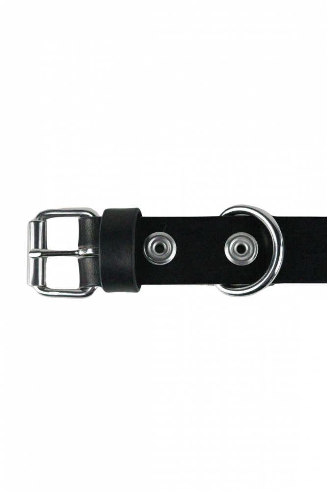 TUKI/doggie belt 30mm