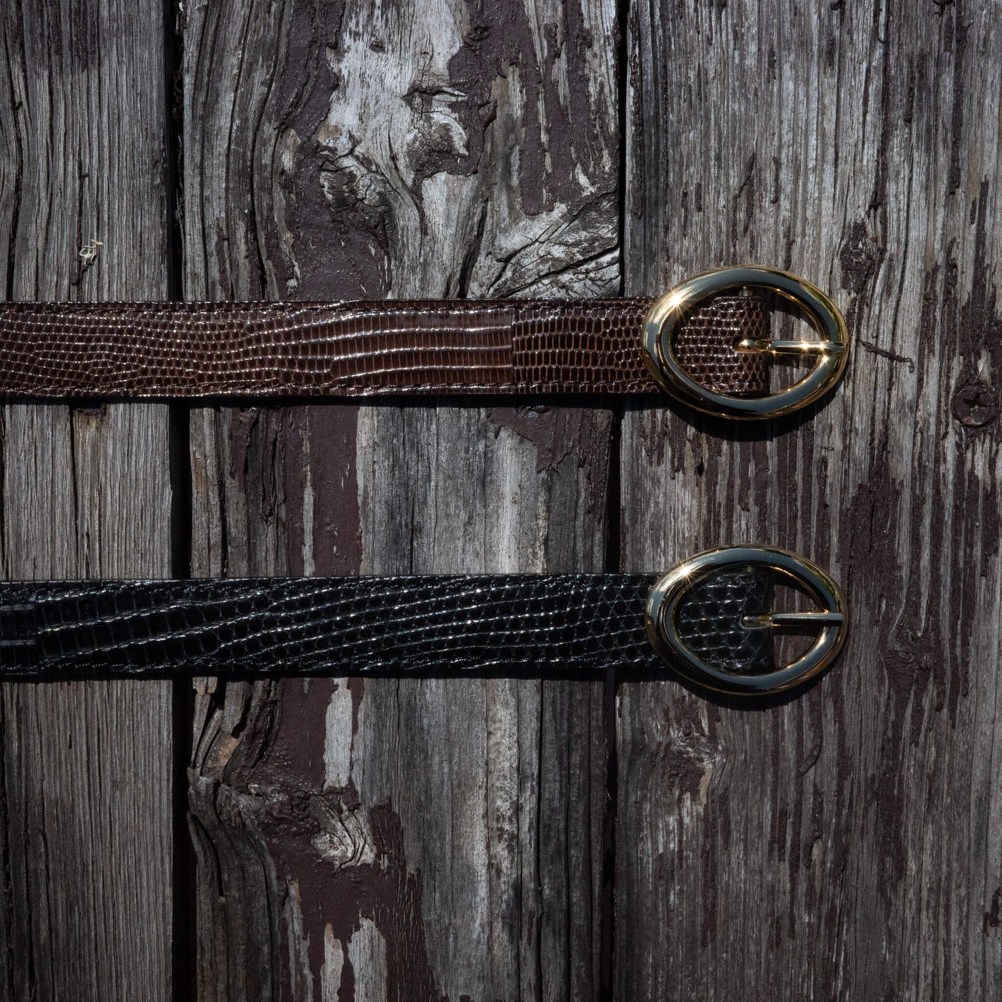 BISOWN/LIZARD OVAL BELT