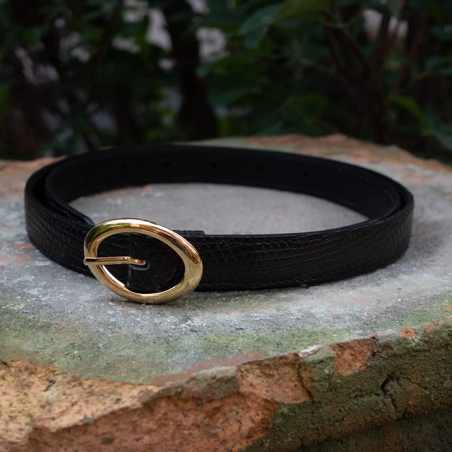 BISOWN/LIZARD OVAL BELT