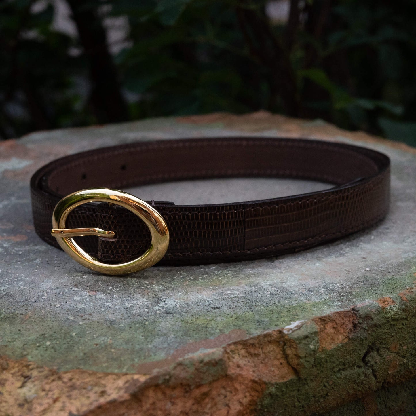 BISOWN/LIZARD OVAL BELT