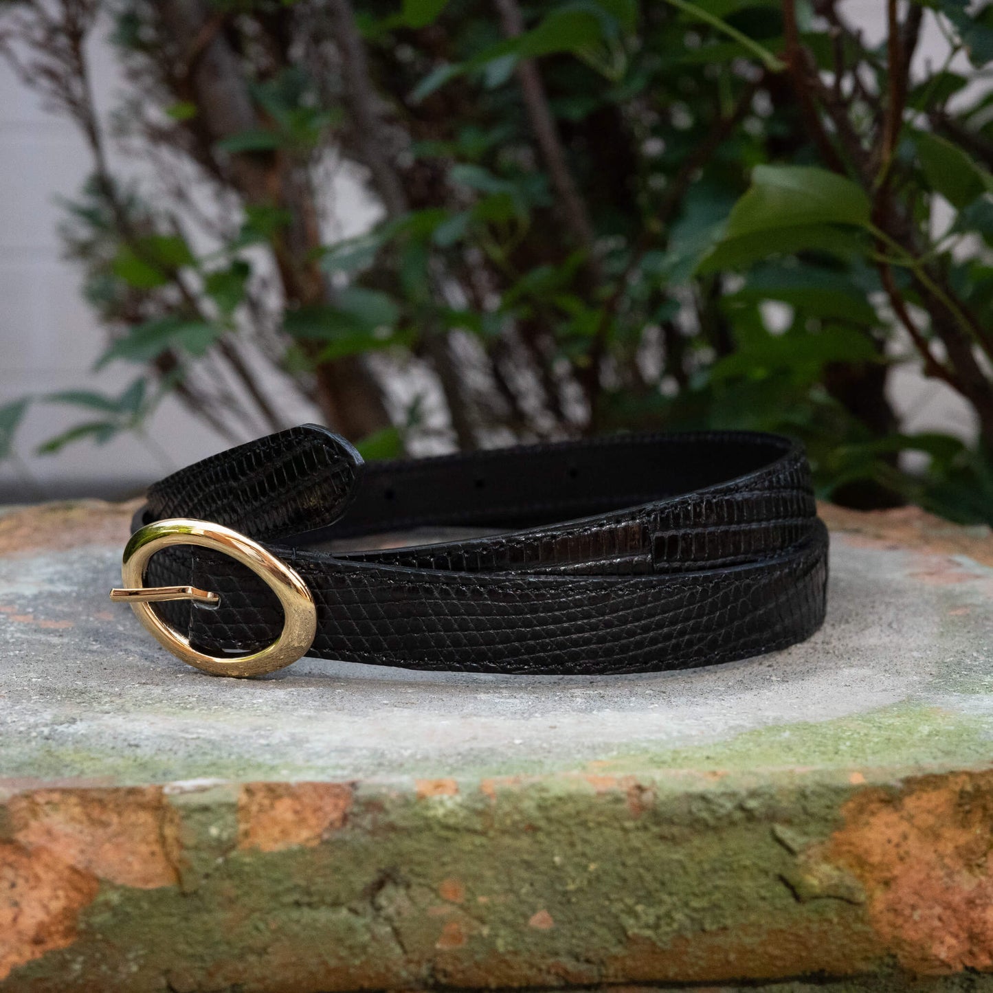 BISOWN/LIZARD OVAL BELT