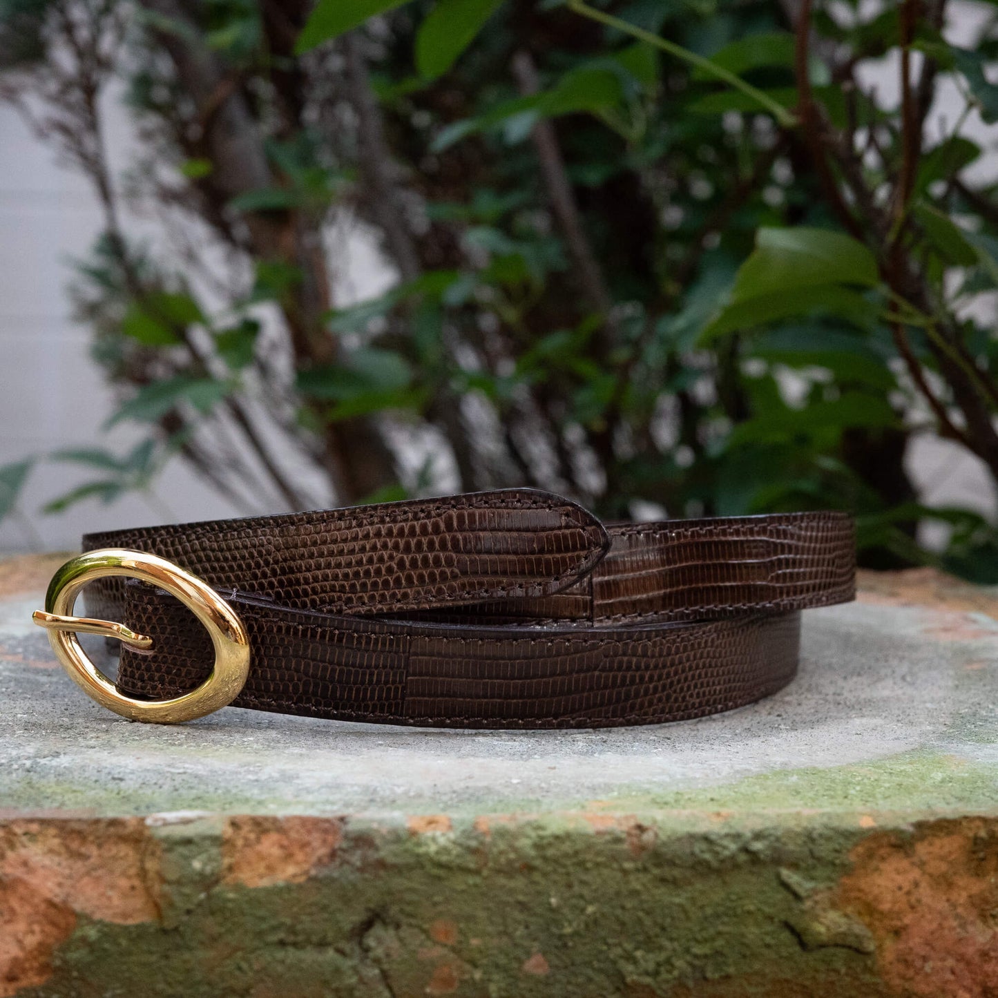 BISOWN/LIZARD OVAL BELT